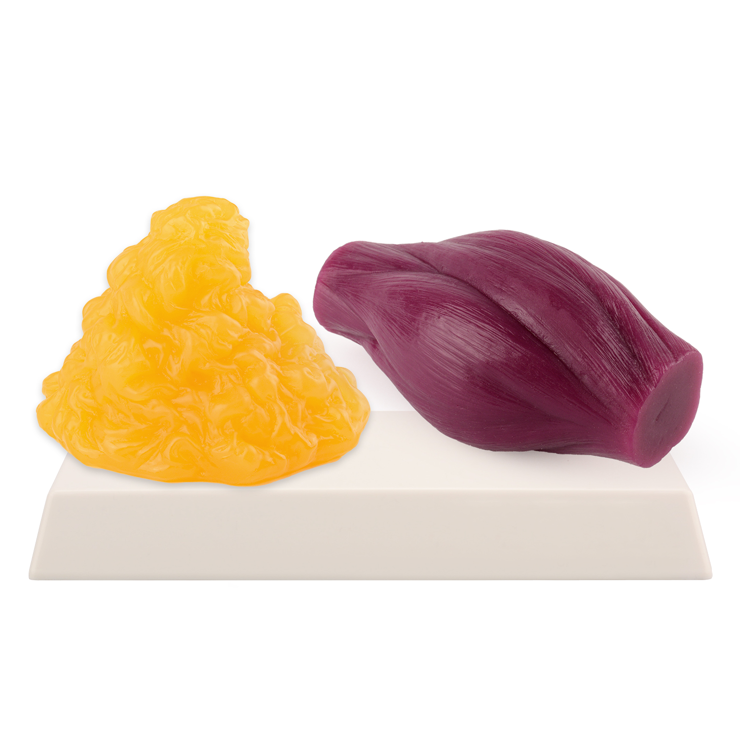 1lb Fat Replica & Muscle to Ke - огляд і ціна Nutrition Fitness Center